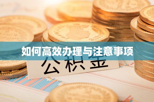 剑川如何高效办理与注意事项