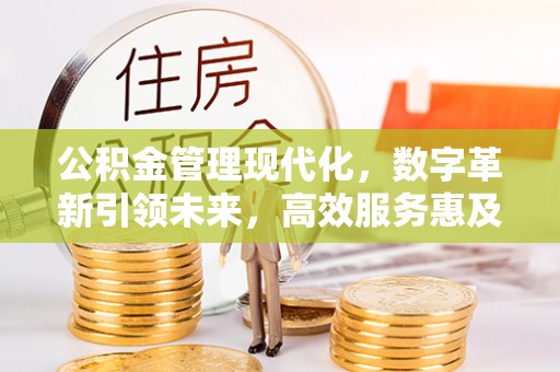剑川公积金管理现代化，数字革新引领未来，高效服务惠及民生