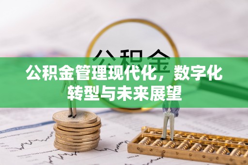 剑川公积金管理现代化，数字化转型与未来展望