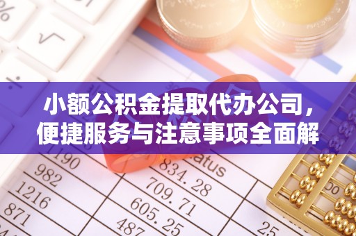 剑川小额公积金提取代办公司，便捷服务与注意事项全面解析