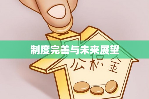 剑川制度完善与未来展望
