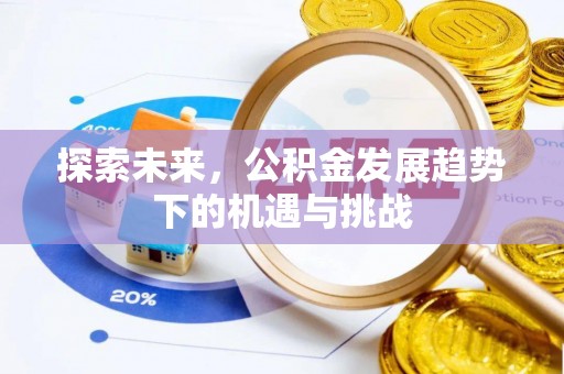 剑川探索未来，公积金发展趋势下的机遇与挑战