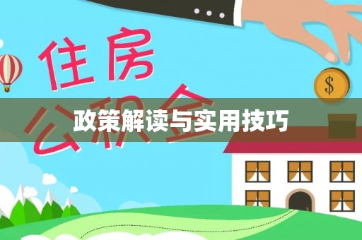 剑川政策解读与实用技巧