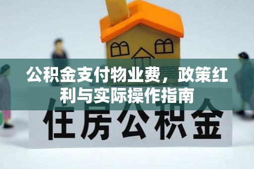 剑川公积金支付物业费，政策红利与实际操作指南