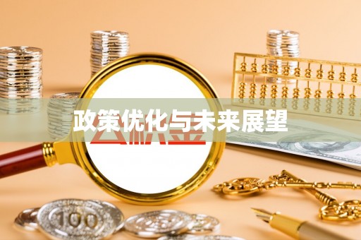 剑川政策优化与未来展望